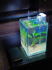 Desktop planted tank_img_0