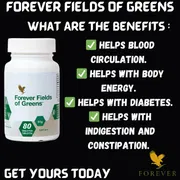 Forever Fields of Greens – ফোরএভার ফিল্ডস অফ গ্রীনস_img_1