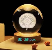 LED Crystal Ball – Dandelion_img_0