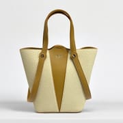 Ladies Handbag_img_0