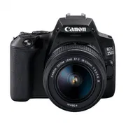 Canon EOS 250D_img_0