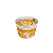 Igloo mango Cup_img_0