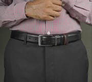 Plain Belt- Dual Tone Moving_img_2