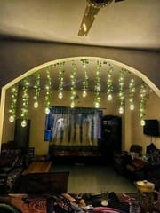 Wish Ball Leaf Curtain Light_img_0