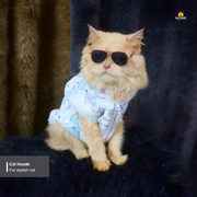 Cat hoodie (3.5,3 ,2.3,1 ,1.7kg)_img_1