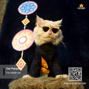 cat panjabi_img_1