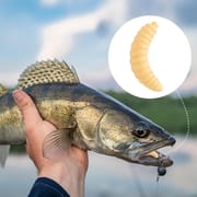 Grape Bug Maggot Worm Native 50pcs Set Creamy Color Glow in the Dark Clear Black Bass Trout Chin Yamame Area Management Fishing Rivers Stream Black Bass Fishing Bass Fishing Lake Dam Bluegill Carp_img_3