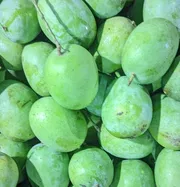 আম (ল্যাংড়া🥭) কেমিক্যাল/কার্বাইড মুক্ত_img_0