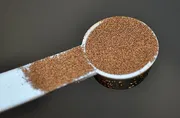 Live Food brine shrimp egg ( 20 grm)_img_0