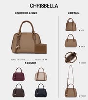 Ladies Handbag_img_0