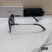 308 Premium Brand Sunglasses_img_10