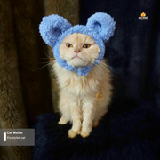 Cat Maflar_img_0