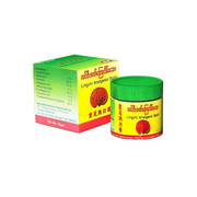 Lingzhi Analgesic Burmese Healing Balm_img_0