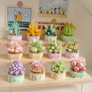 Succulent-Full House_img_2