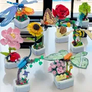 Butterfly Rose Succulent Potted Plant_img_2