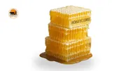 Pure Natural Honeycomb | Raw Honeycomb –_img_0
