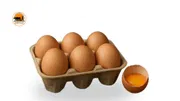 Organic Country Hen Egg_img_0