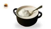 Buffalo milk Yoghurt / Curd_img_0