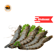 Frozen Head-On Shell Shrimps – Premium Quality_img_0