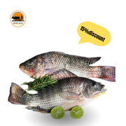 Fresh Whole Tilapia – 1kg (2-3 Pieces)_img_0