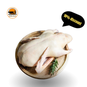 organic/Desi Duck._img_1