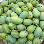 আম্রপালি🥭আম কেমিক্যাল/কার্বাইড মুক্ত_img_1