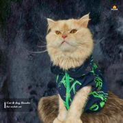 cat hoodie (10 kg)_img_0