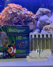 Prodibio BioDigest_img_0