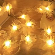 Butterfly With Fairy Light_img_0