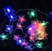 Butterfly With Fairy Light_img_1