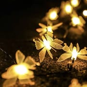 Butterfly With Fairy Light_img_2