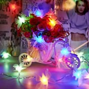 Butterfly With Fairy Light_img_3