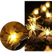 Butterfly With Fairy Light_img_4