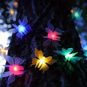 Butterfly With Fairy Light_img_5
