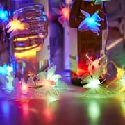Butterfly With Fairy Light_img_6