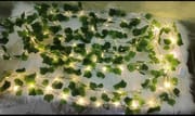 Artificial Green Leaf & String Fairy lights_img_2
