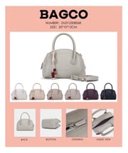 Ladies Handbag_img_0