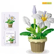 Lily potted plants_img_1