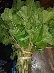 উত্তরবঙ্গের জনপ্রিয় লাপ / নাপা / নাফা শাকের বীজ।_img_0