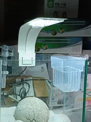 Semitransparent plant holder  (1pis)_img_1