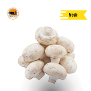 Mushroom Button White._img_0