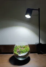 Round jar terrarium_img_0