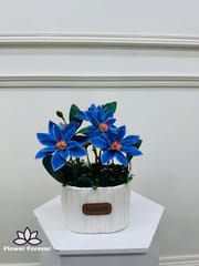 Flower Basket_img_1