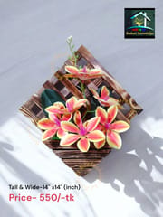 Wall Flower._img_0