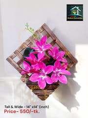 Wall Flower._img_2