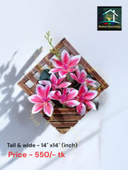 Wall Flower._img_3