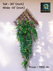 Wall lata._img_3