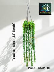 Hanging Lata_img_1