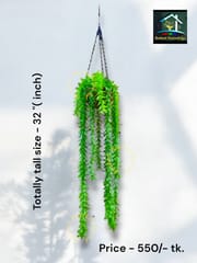 Hanging Lata_img_2