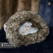 cat house_img_0